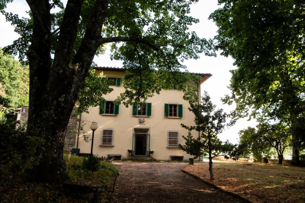Fattoria Di Caticciano, Elegante Affittacamere Relax E Natura Vicino Firenze Pelago Eksteriør billede