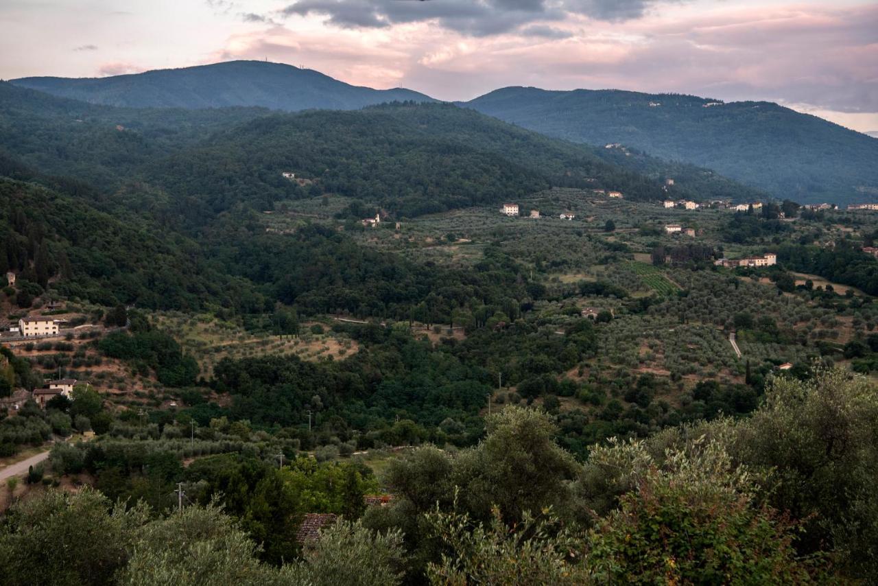 Fattoria Di Caticciano, Elegante Affittacamere Relax E Natura Vicino Firenze Pelago Eksteriør billede