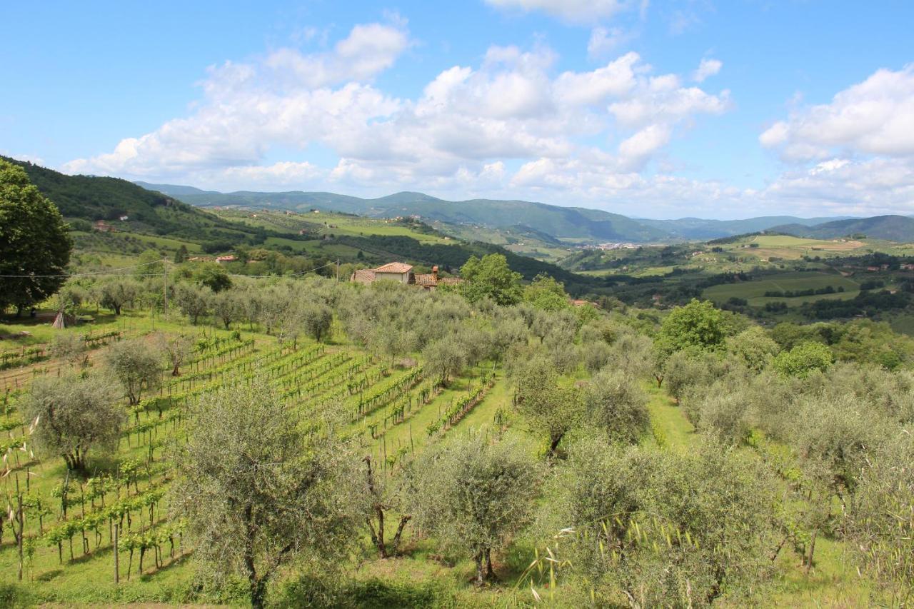 Fattoria Di Caticciano, Elegante Affittacamere Relax E Natura Vicino Firenze Pelago Eksteriør billede